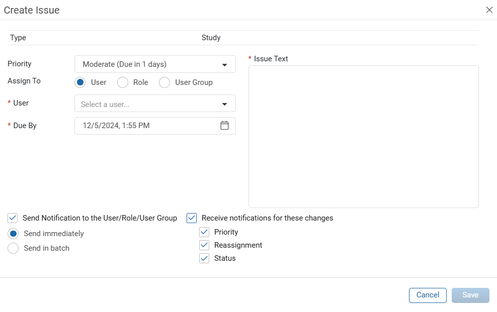 RBQM Create Issue window.png