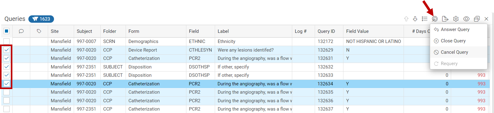 Queries_ActionMultiple.png