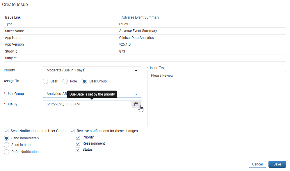 Create Issue Window