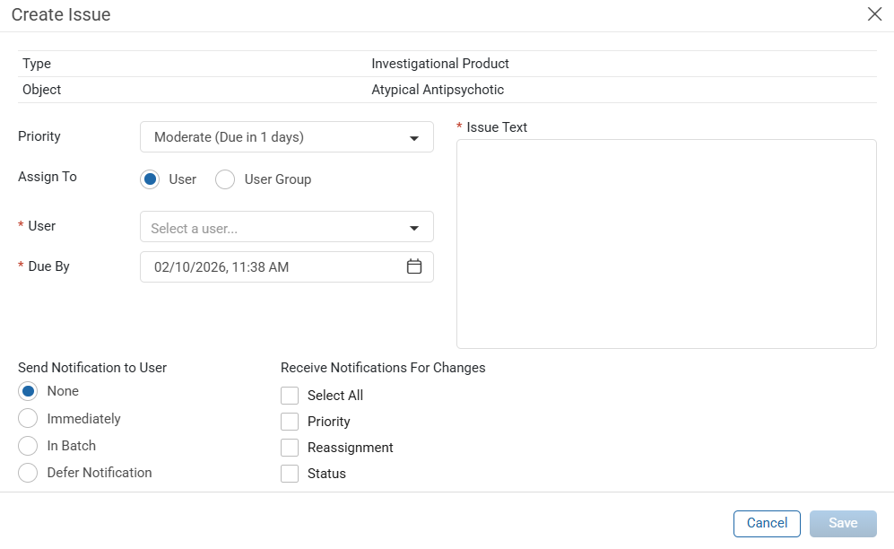 Create Issue Window