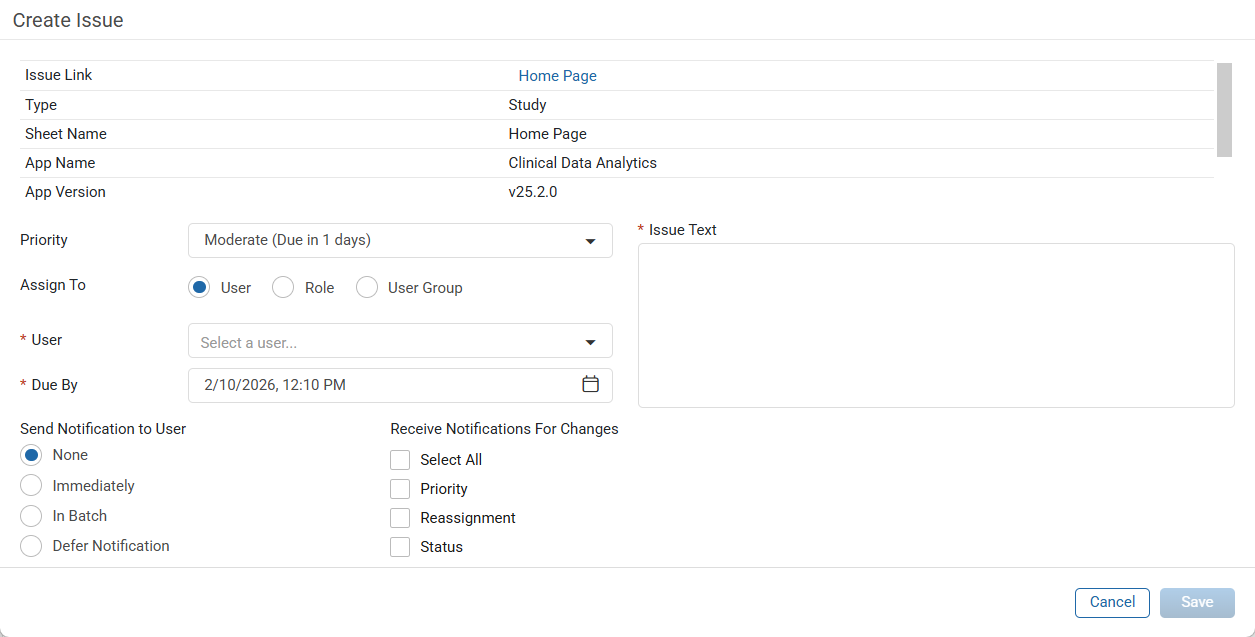 Create Issue Window
