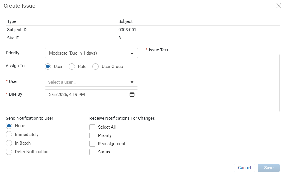 Create Issue Window
