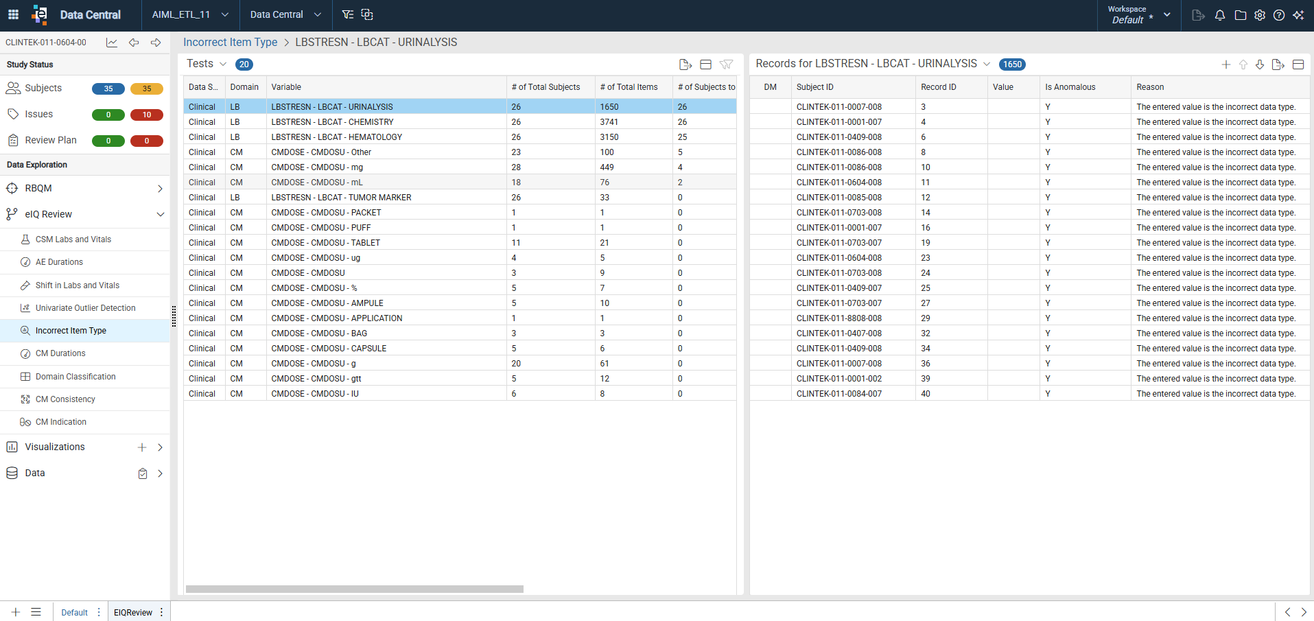 Incorrect Item Type test-level sheet showing the reduced variables listing and the anomalous records listing with the Reason column