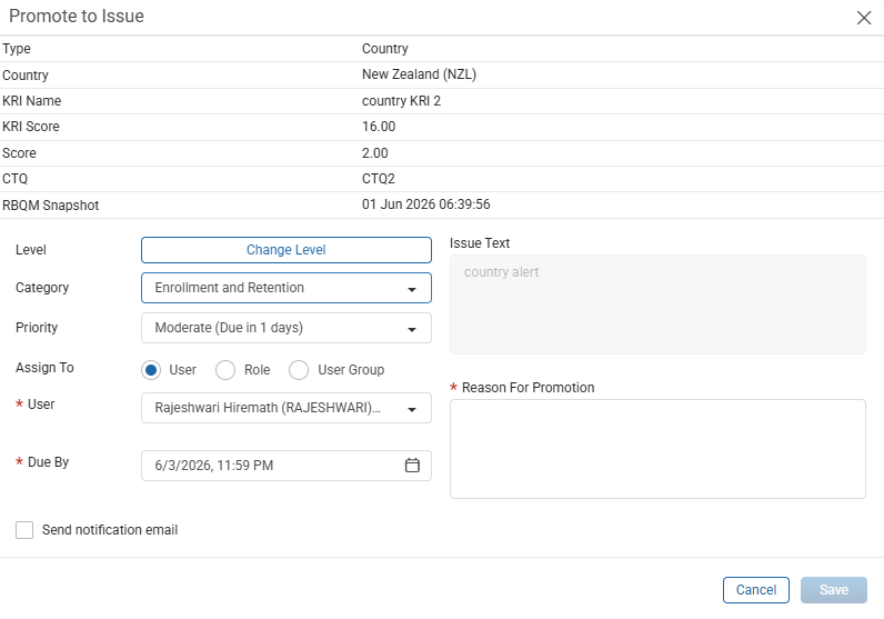 Promote to Issue window