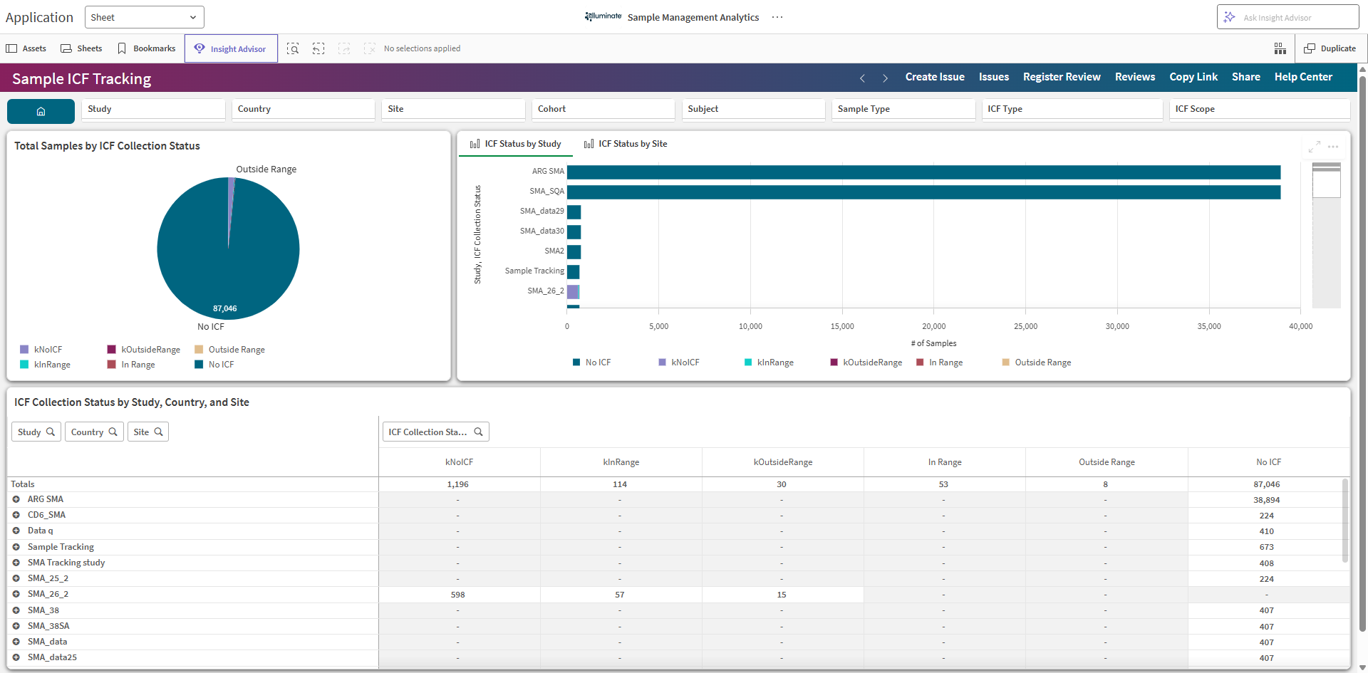 Sample ICF Tracking sheet