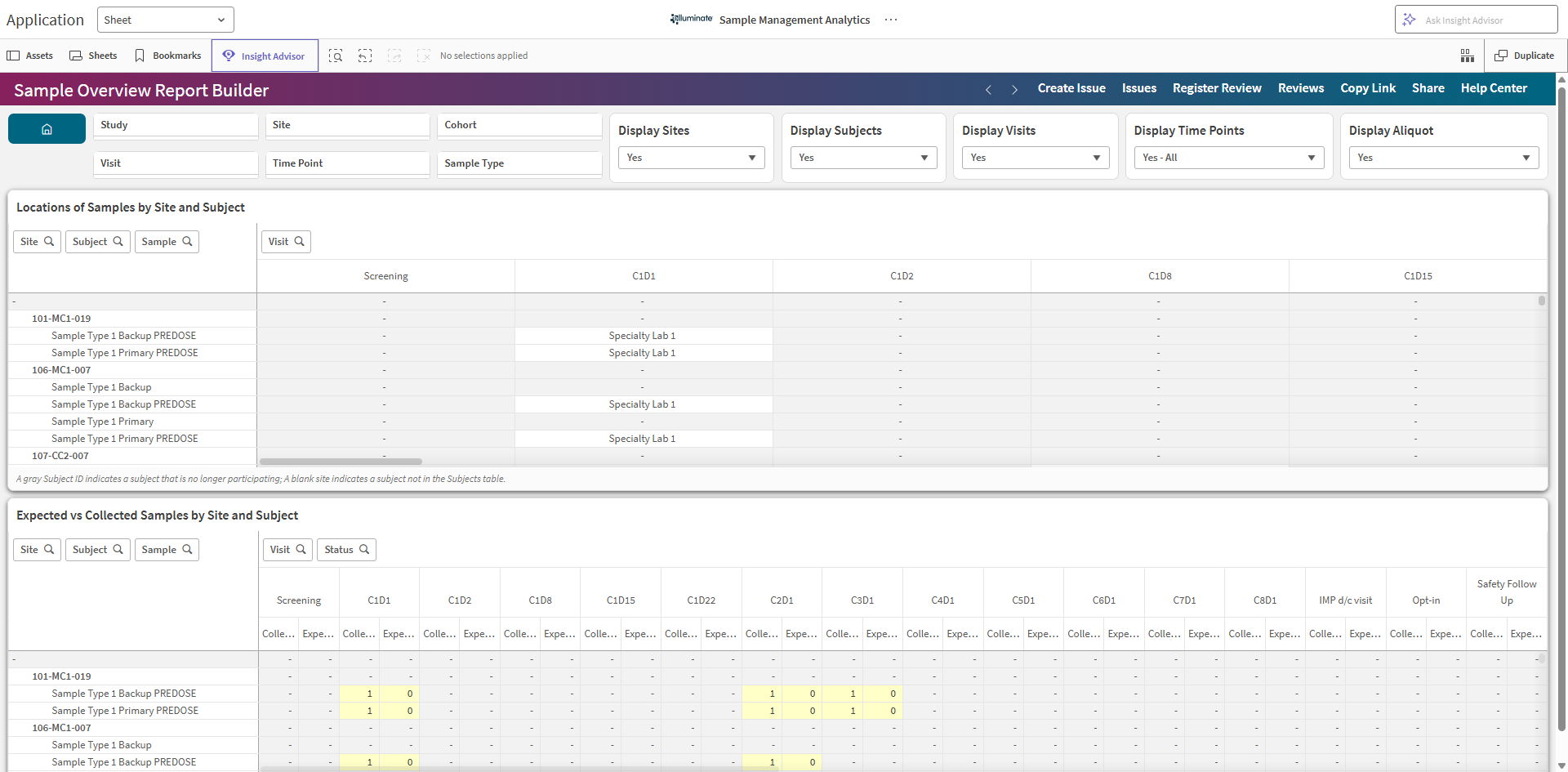 Sample Overview Report Builder sheet