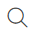 Search