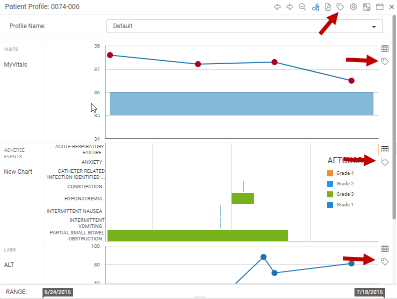 Create Issue from a Graphical Patient Profile