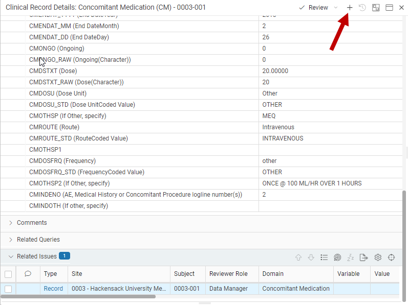 Create Issue from Record Details panel
