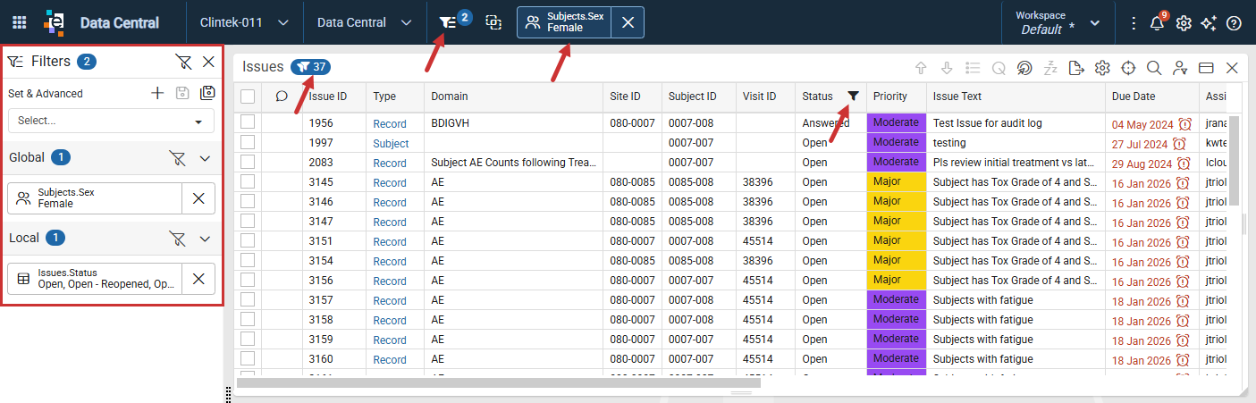 Filtered columns identified in the Issues panel, master header, and Filter Panel