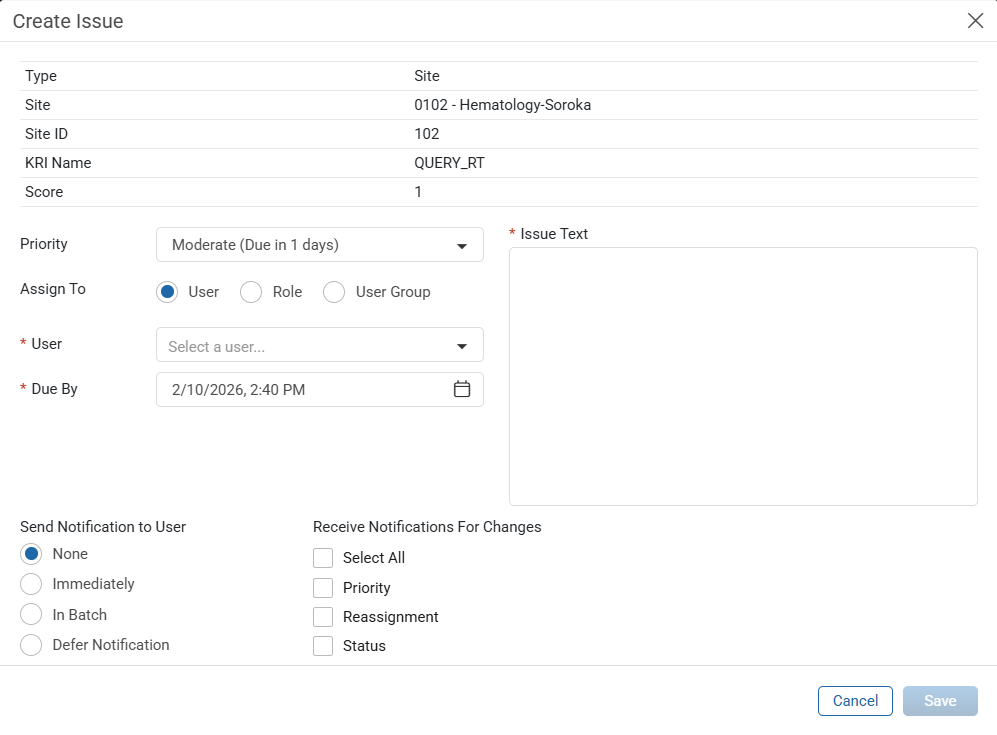 Create Issue window