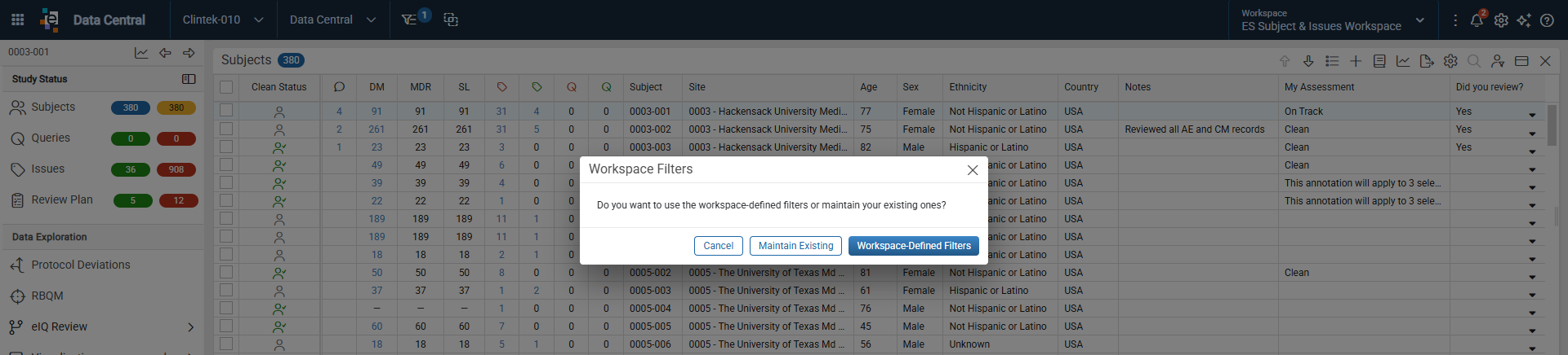 Workspace Filters dialog with options to maintain existing filters or apply workspace-defined filters